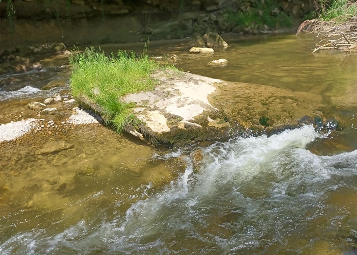 Rest aus dem ehemaligen Steinbruch